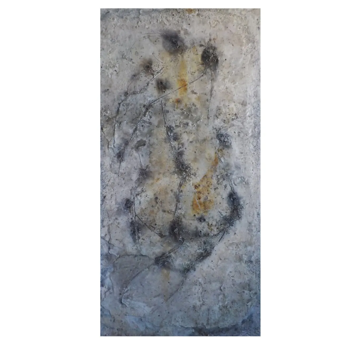 Figura Pittura