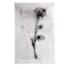 Fiori N.7 Pittura su carta