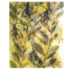 Forme Vegetali E Insetti Painting #2