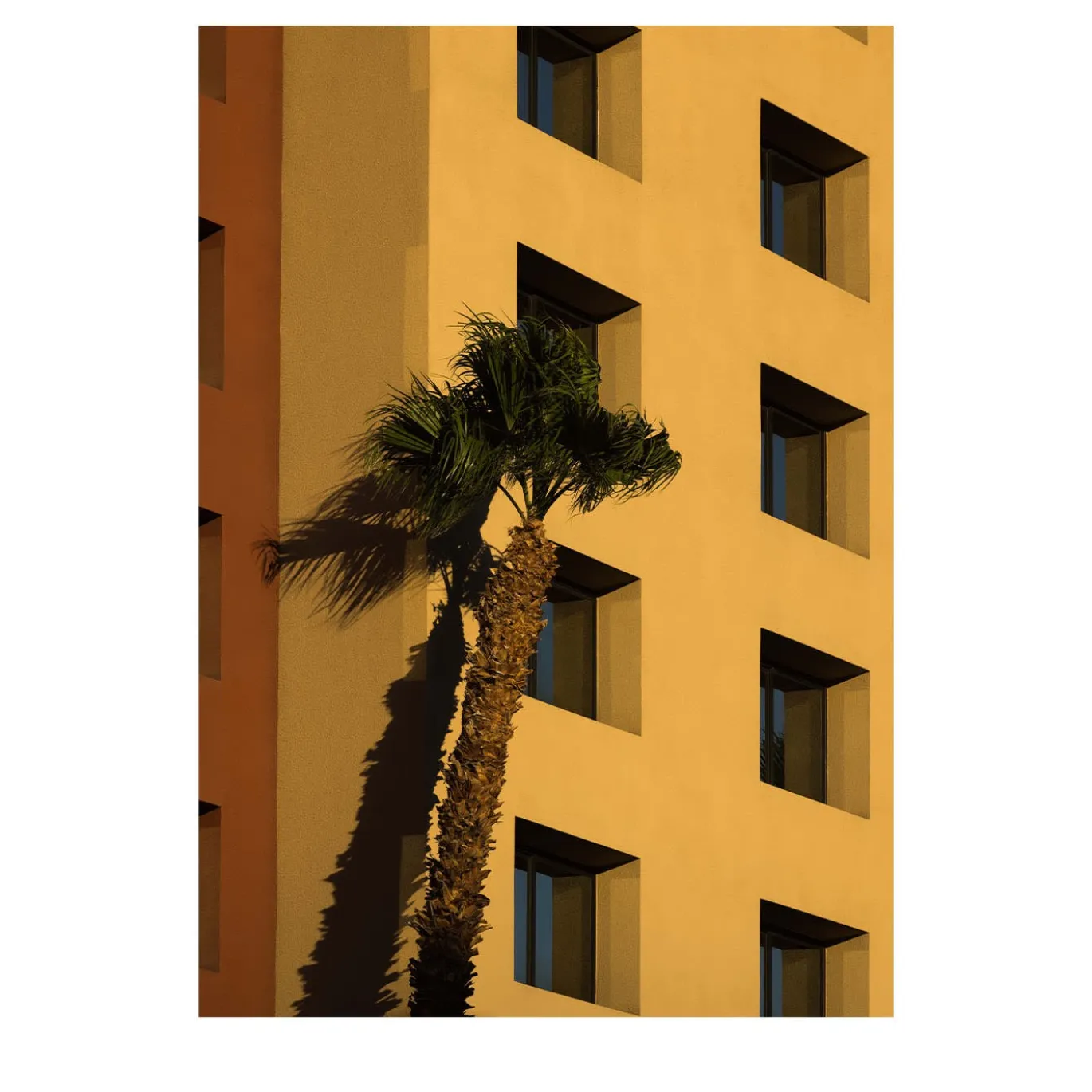 "Fotografia "Brezza di Las Vegas