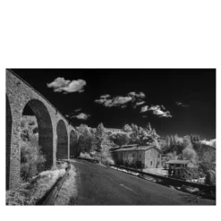 Fotografia di Carpareccia