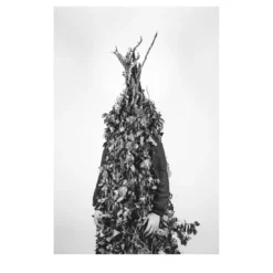 Fotografia di Savage Fool Bear #07