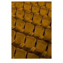 "Fotografia "Odeon Firenze III