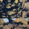 Fragili Equilibri Pittura