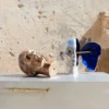Frammento Scultura in Argento di Sergio Fiorentino