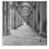 Grand Tour - Abbazia di San Galgano Fotografia