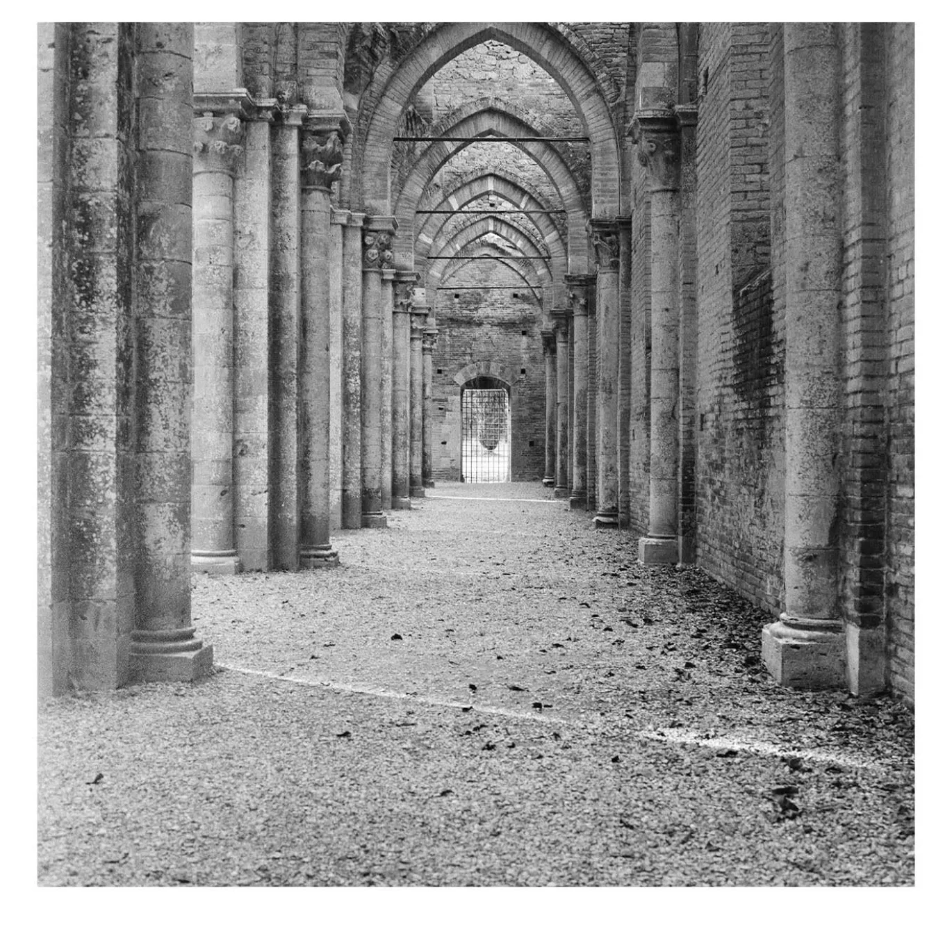 Grand Tour - Abbazia di San Galgano Fotografia