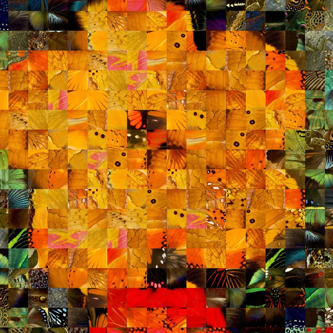 Hibiscus N.1 Serie di stampe pop enigmatiche 2019
