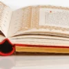 Il libro dei cavalli d'oro