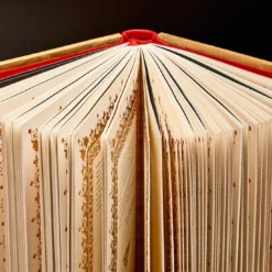 Il libro dei cavalli d'oro
