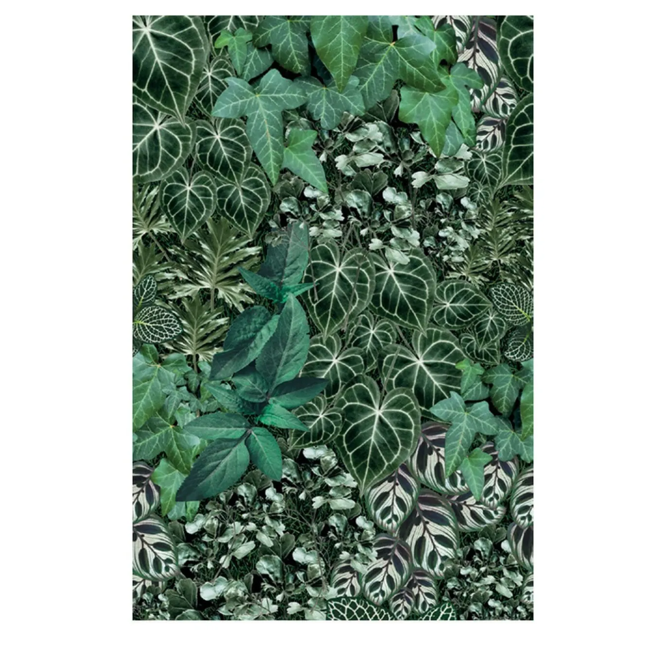 Into the Green Facade 22 Carta per esterno