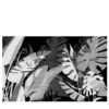 Jungla White Row White Row Carta da parati