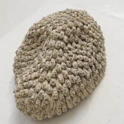 La Grande Indigestion LGI#02 Scultura in Stoneware Avorio