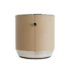 Machiavelli Champagne Glacette