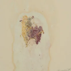 Marble and Flowers (Flesh, Venus, a Heart) Pittura Astratta su Carta Beige