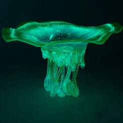 Nata da un Granello di Sabbia Scultura in vetro di Murano