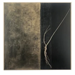 Naturalia et Mirabilia New York Pittura