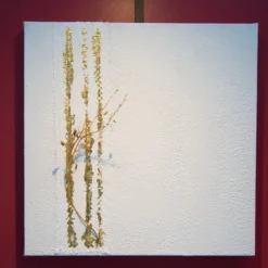 Naturalia 1.3 Opera d'arte
