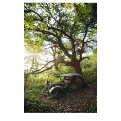 Nowhere - Sulla terra che scompare - Stampa fotografica
