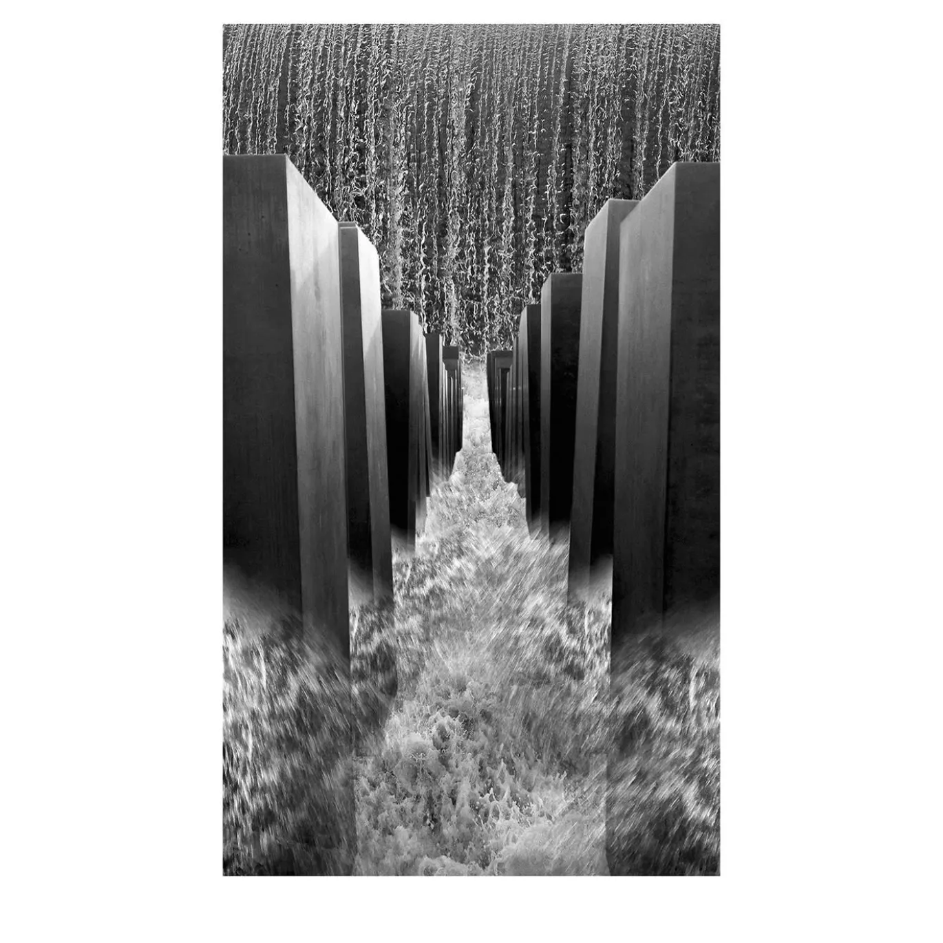 Omaggio alla Memoria Fotografia