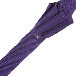 Ombrello con Manico a Leone Argento Viola