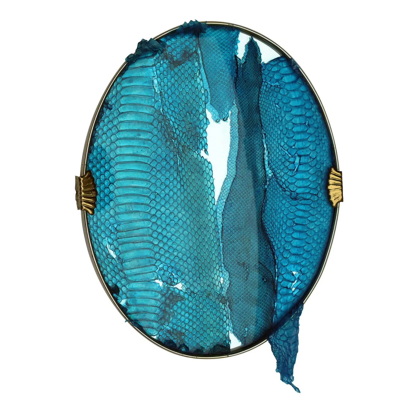 Opera d'arte Decorativa Blue Snake Mirror #1 di Chiara Lecca