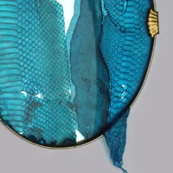 Opera d'arte Decorativa Blue Snake Mirror #1 di Chiara Lecca