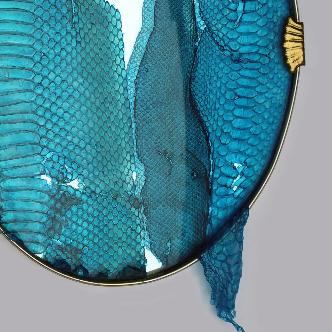 Opera d'arte Decorativa Blue Snake Mirror #1 di Chiara Lecca