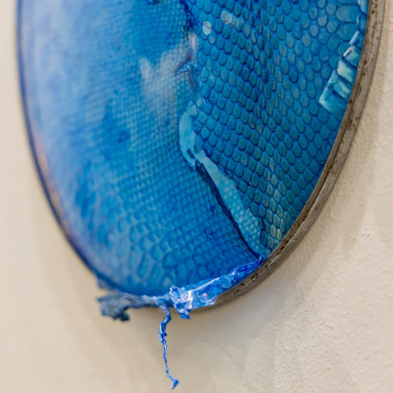 Opera d'arte Decorativa Blue Snake Mirror di Chiara Lecca