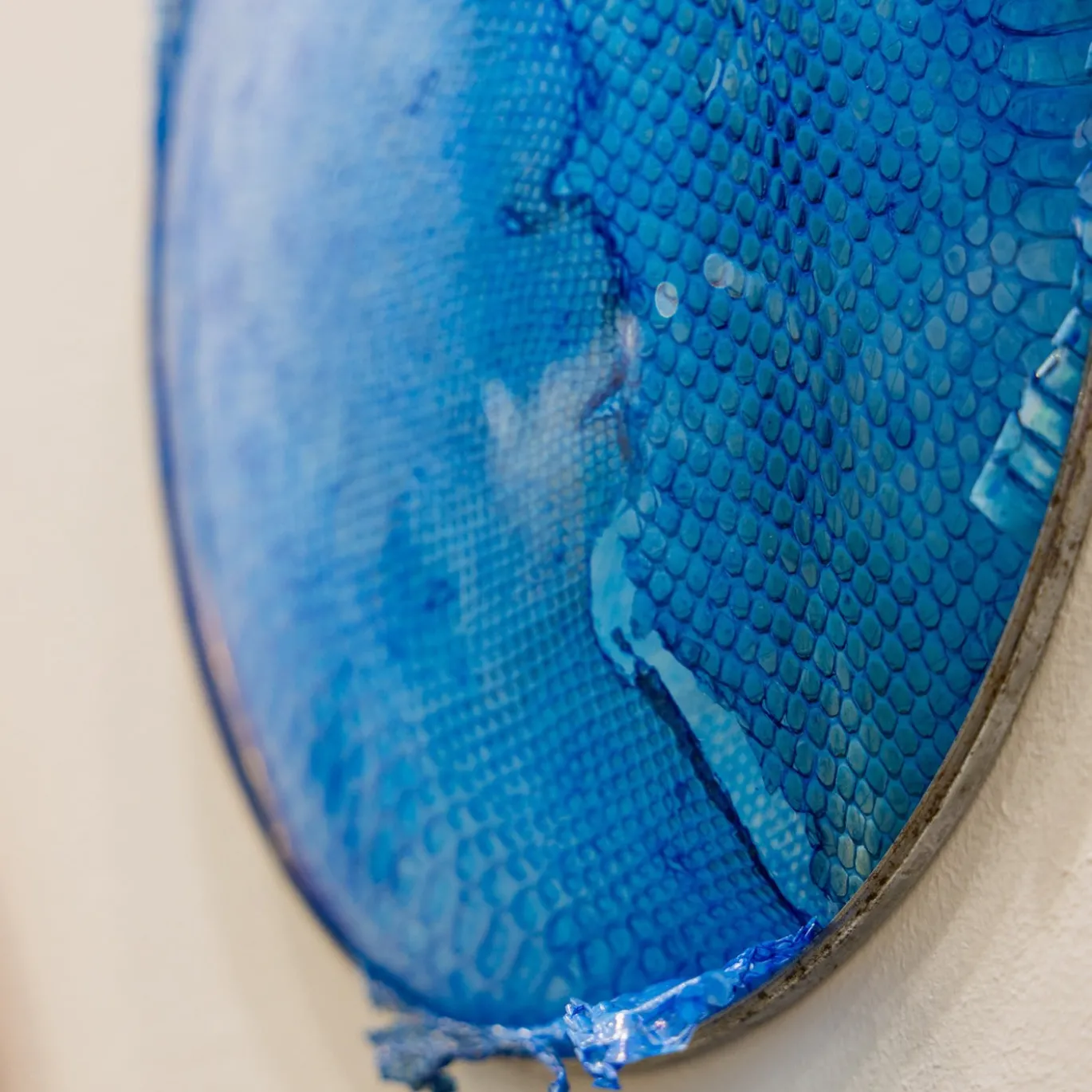 Opera d'arte Decorativa Blue Snake Mirror di Chiara Lecca