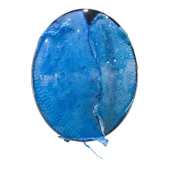 Opera d'arte Decorativa Blue Snake Mirror di Chiara Lecca