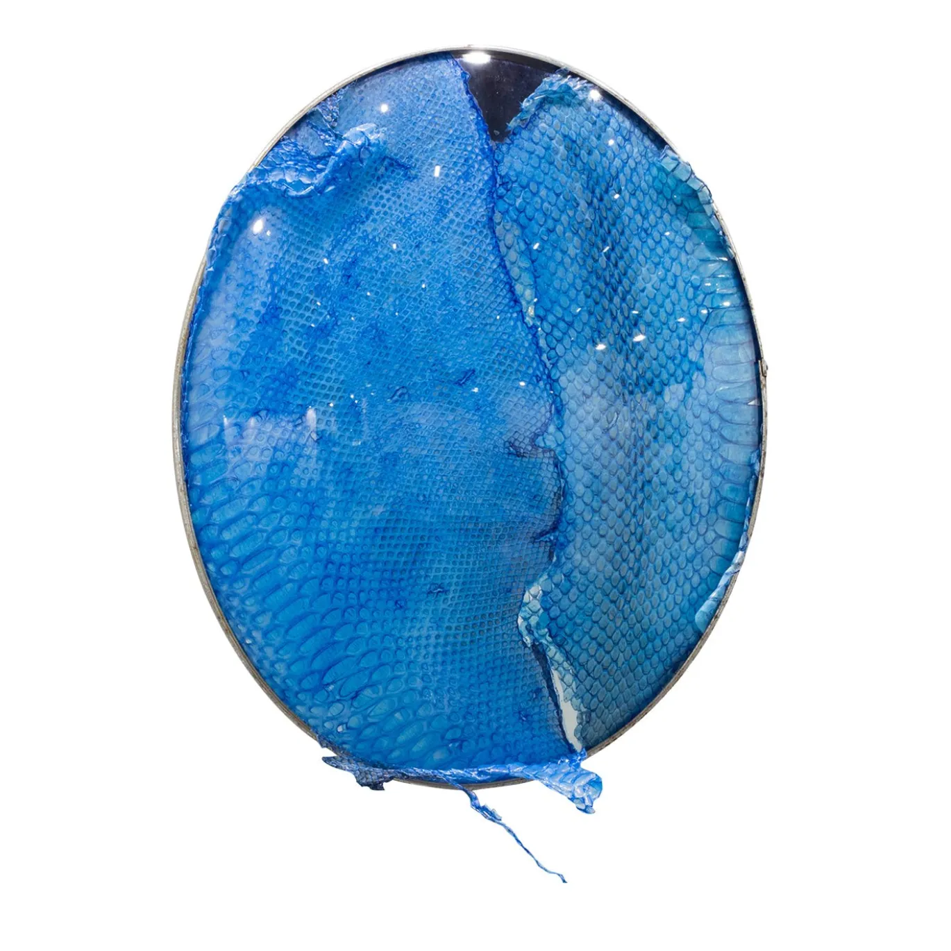 Opera d'arte Decorativa Blue Snake Mirror di Chiara Lecca