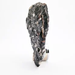 Orologio scultura Nautilo di Nino Basso