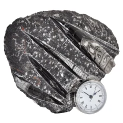 Orologio scultura Nautilo di Nino Basso