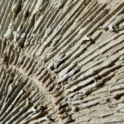 Pannello "Espansione Sabbia