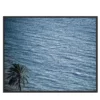 Pantelleria Palma di Scauri Fotografia