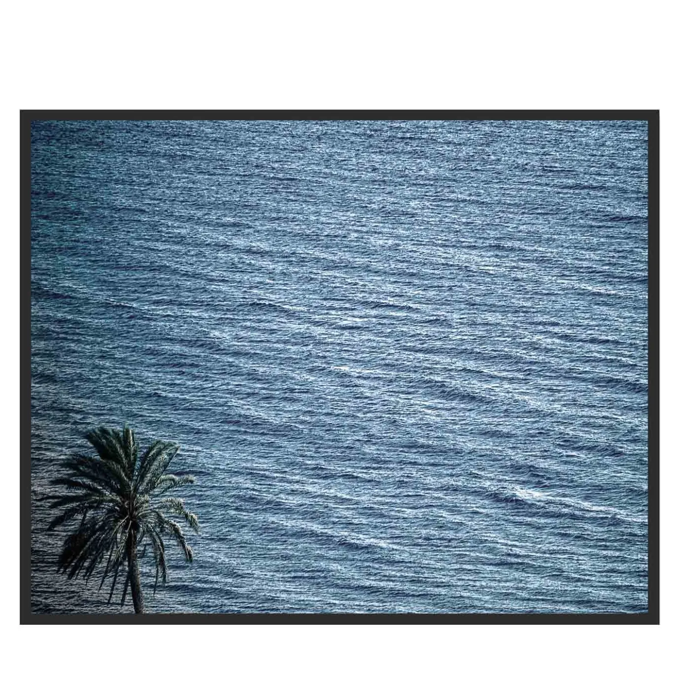 Pantelleria Palma di Scauri Fotografia