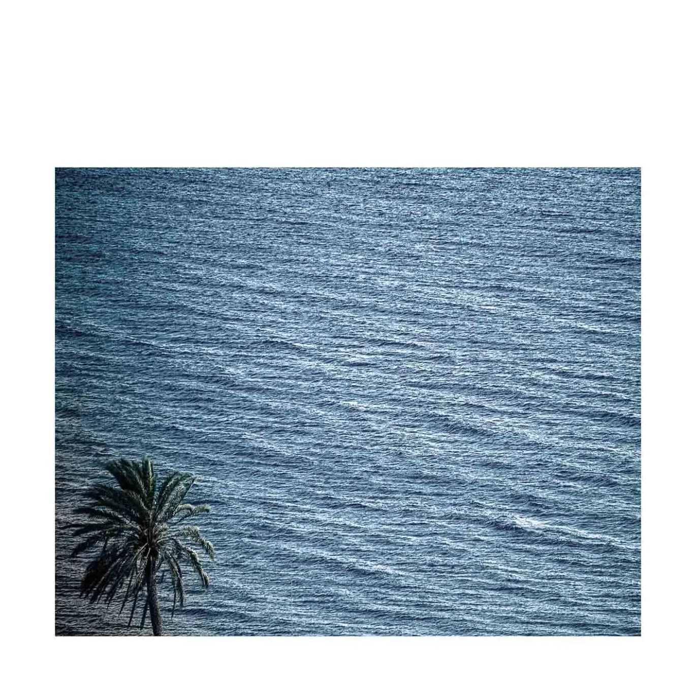 Pantelleria Palma di Scauri Fotografia