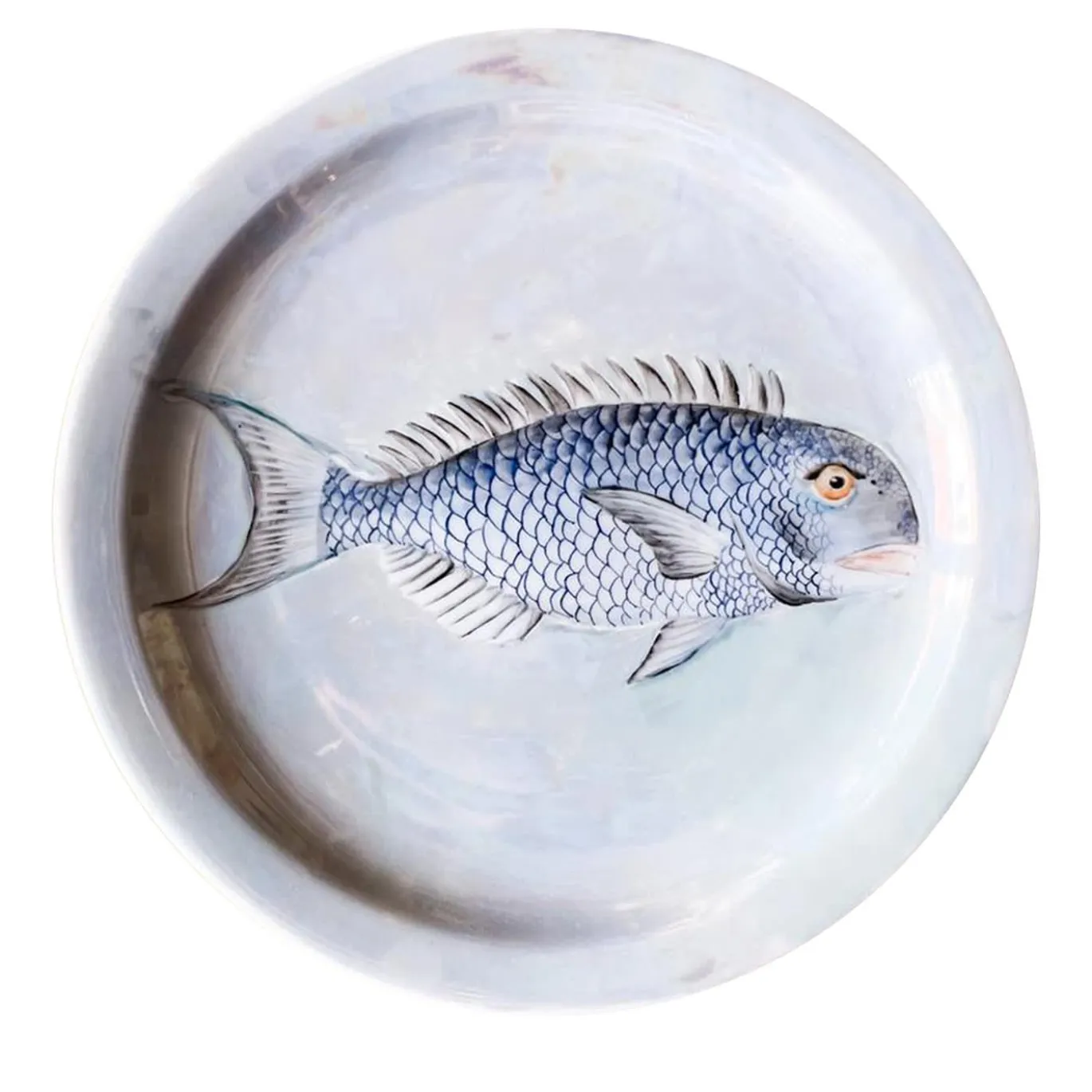 Piatto da pranzo Maris Pesce Cobalto