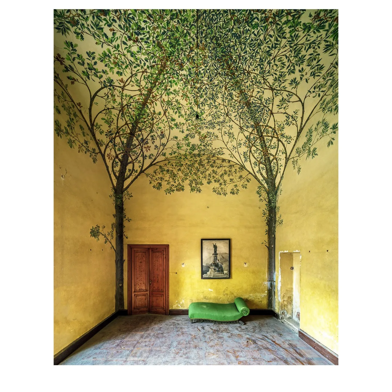 Pittoresco - Un Canto Per Gli Alberi - Stampa fotografica