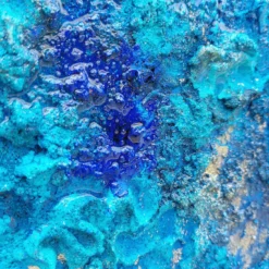 Pittura a tecnica mista della barriera corallina blu intenso
