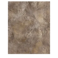 Pittura del cosmo