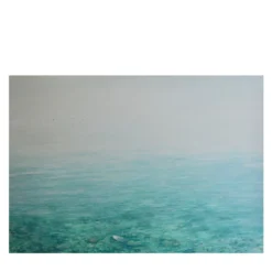 Pittura di chiarezza