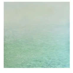 Pittura Figurativa The Stillness of Moving Water su Pannello di Legno