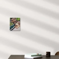 Pittura Ninina
