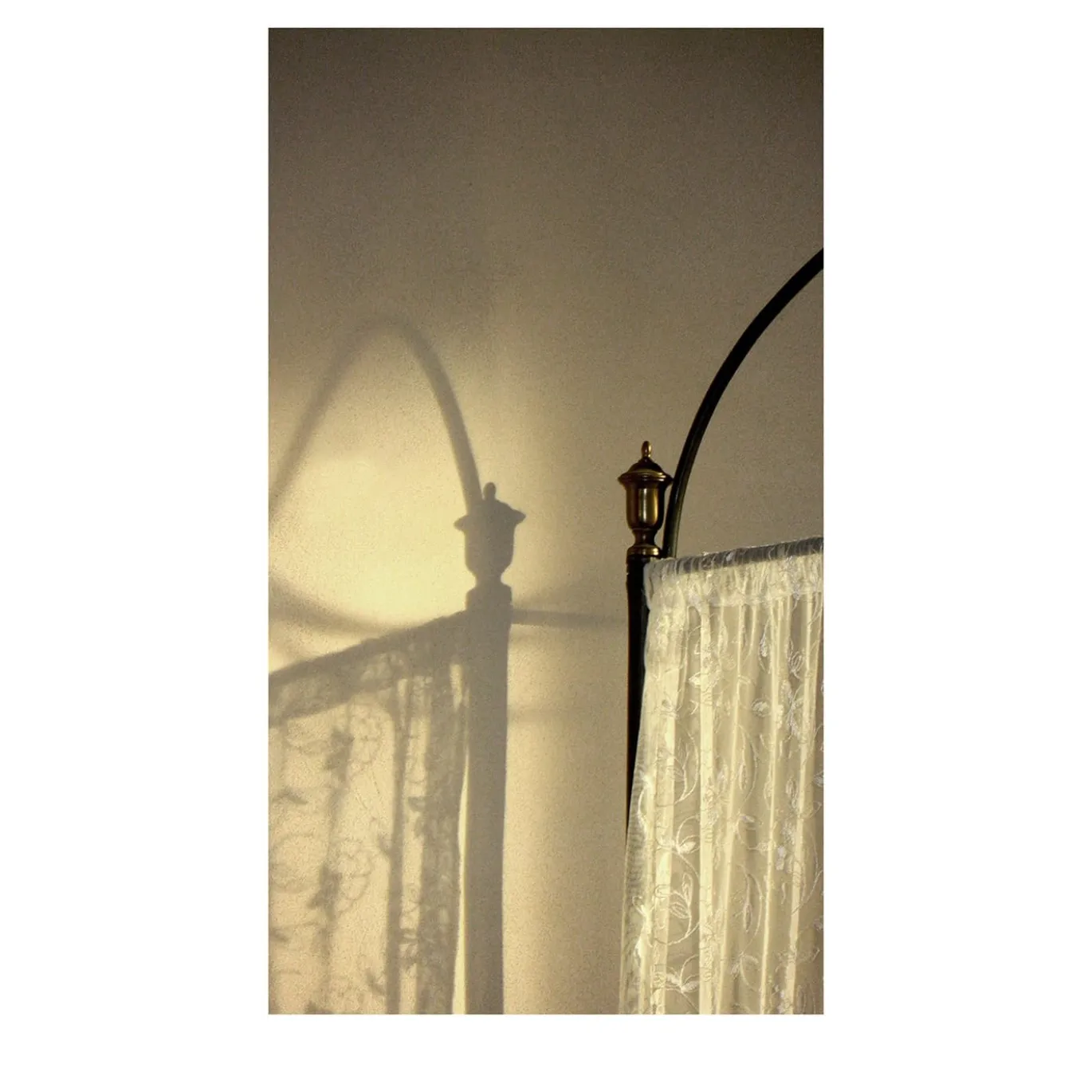 Pizzo e Ombra Fotografia