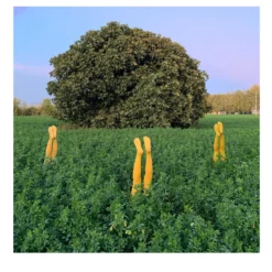 Quella volta che sono uscito a fotografare