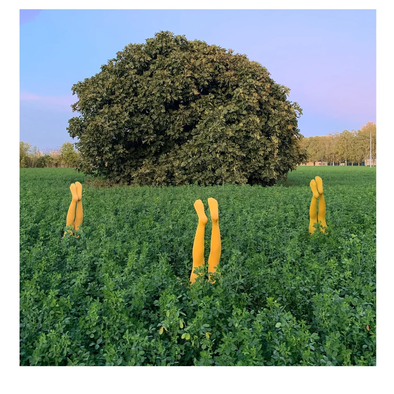 Quella volta che sono uscito a fotografare