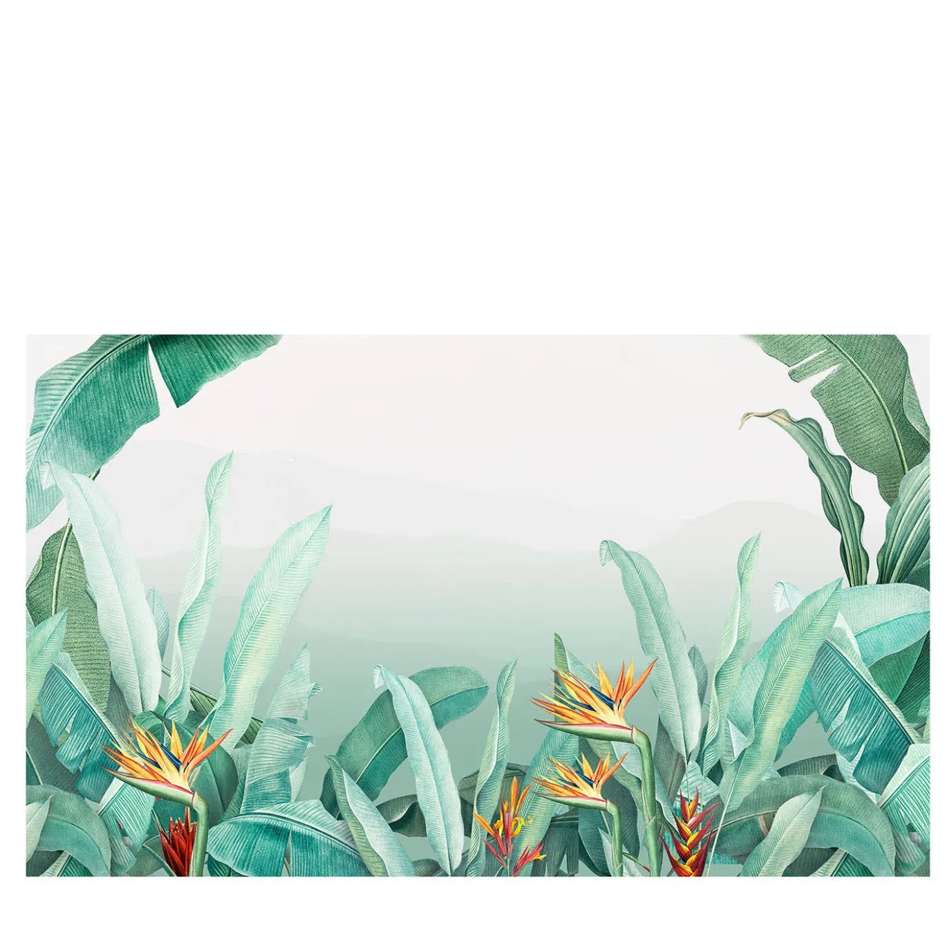 Rain Forest Color Timeless 23 Carta da parati