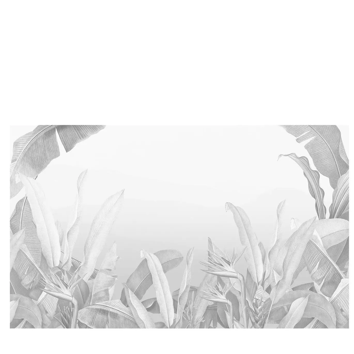 Rain Forest Gray Timeless 23 Carta da parati